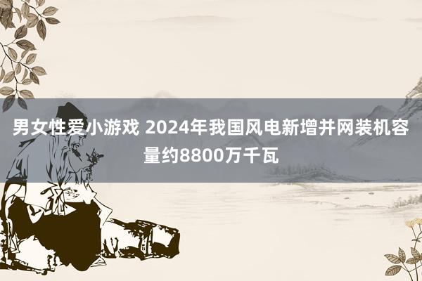 男女性爱小游戏 2024年我国风电新增并网装机容量约8800万千瓦