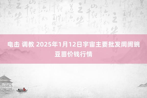 电击 调教 2025年1月12日宇宙主要批发阛阓豌豆苗价钱行情