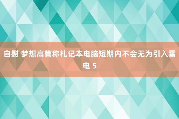 自慰 梦想高管称札记本电脑短期内不会无为引入雷电 5