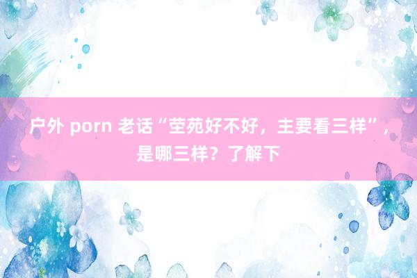 户外 porn 老话“茔苑好不好，主要看三样”，是哪三样？了解下